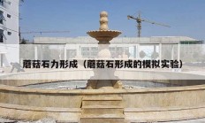 蘑菇石力形成（蘑菇石形成的模擬實(shí)驗）
